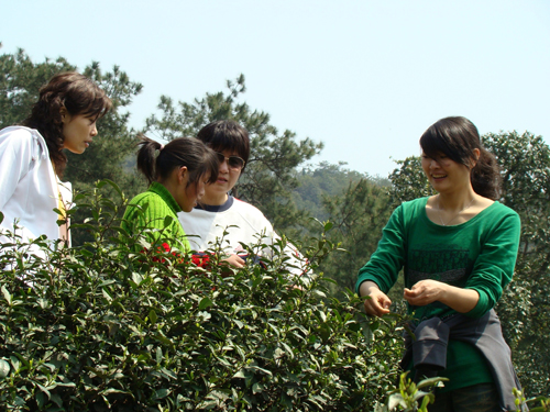 1447923943210538.jpg 5.jpg